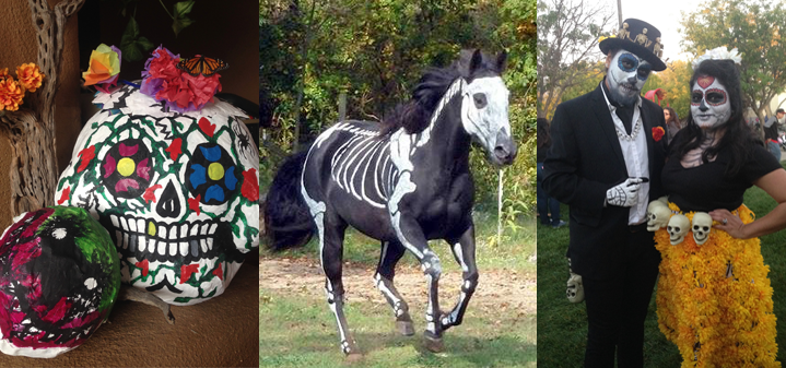 Dia de los Muertos Decorations, Horse, and Dress Up