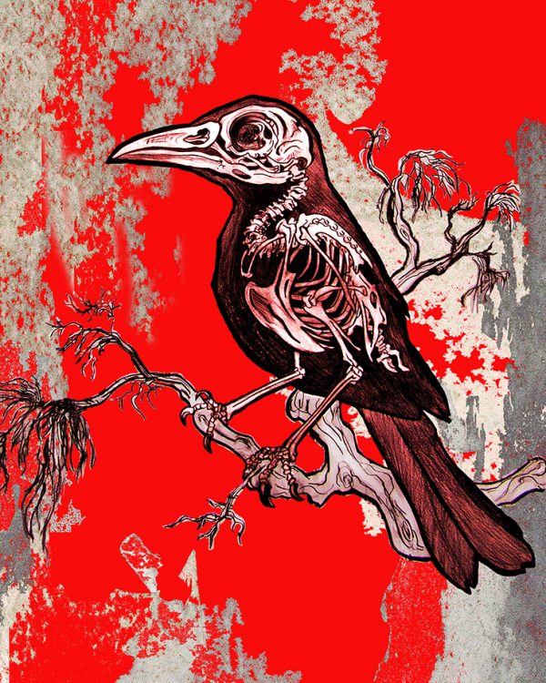 Archival Paper Print - 'Call of the Blackbird'