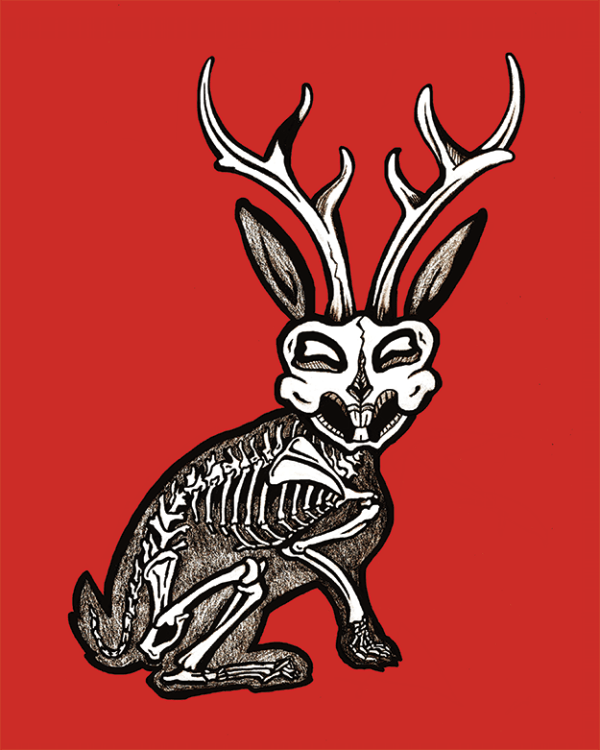 Greeting Card - 'Jackalope'