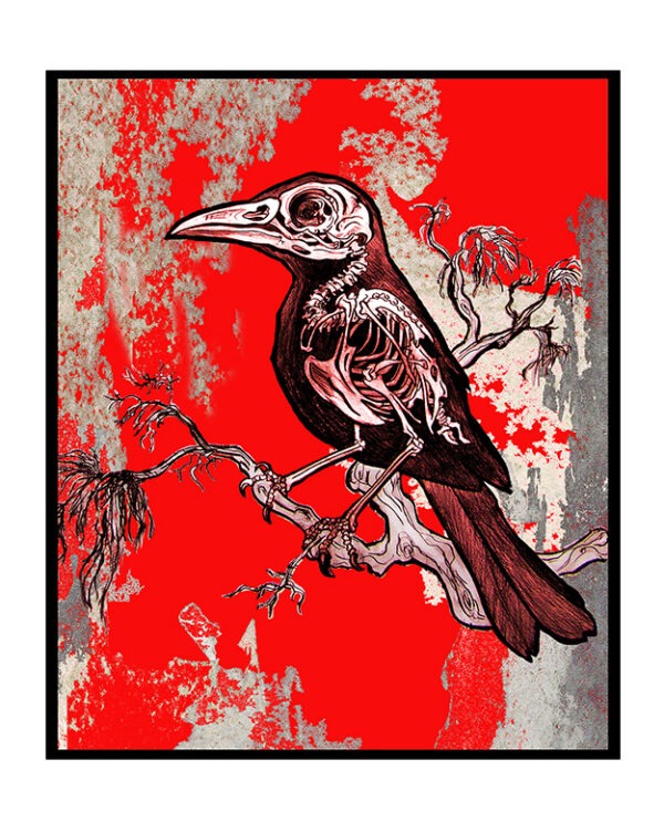 Greeting Card - 'Call of the Blackbird'