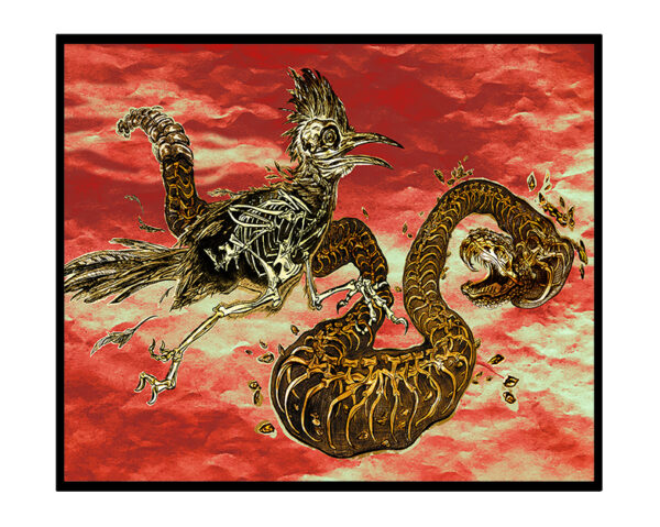 Greeting Card - 'NM Gladiators'